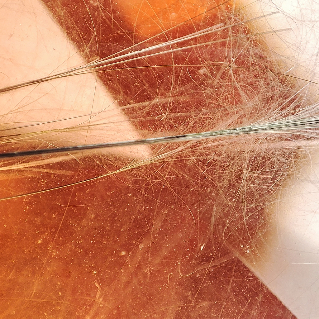 Soies d'aiguilles de rutile dans une fluorine de Mongolie